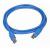 Шнур USB 3.0 ProGembird CCP-USB3-AMBM-10, AM/BM 3m